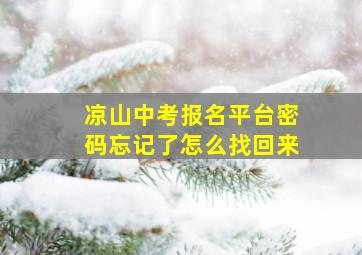 凉山中考报名平台密码忘记了怎么找回来