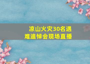 凉山火灾30名遇难追悼会现场直播