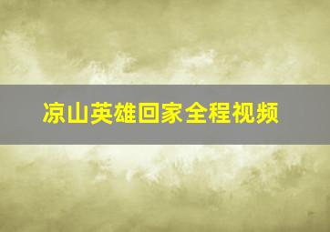 凉山英雄回家全程视频