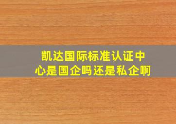 凯达国际标准认证中心是国企吗还是私企啊