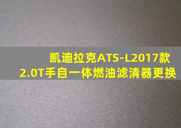 凯迪拉克ATS-L2017款2.0T手自一体燃油滤清器更换