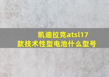 凯迪拉克atsl17款技术性型电池什么型号