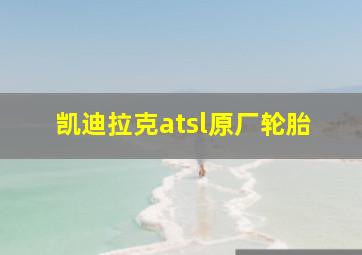 凯迪拉克atsl原厂轮胎