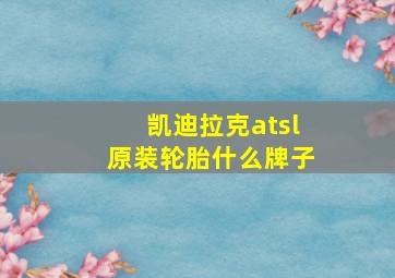 凯迪拉克atsl原装轮胎什么牌子