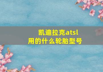 凯迪拉克atsl用的什么轮胎型号