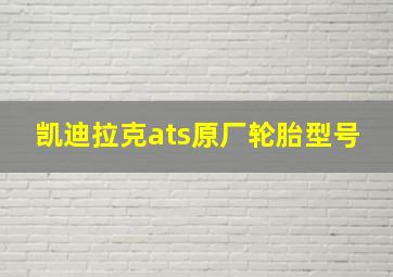 凯迪拉克ats原厂轮胎型号