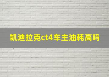 凯迪拉克ct4车主油耗高吗