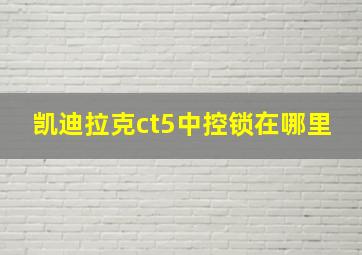 凯迪拉克ct5中控锁在哪里