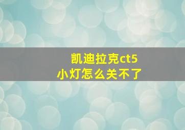 凯迪拉克ct5小灯怎么关不了