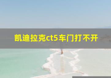 凯迪拉克ct5车门打不开