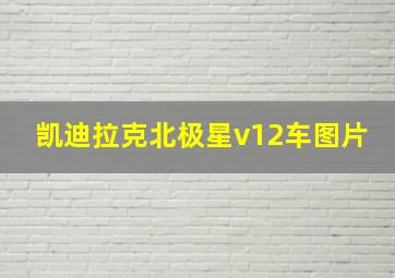 凯迪拉克北极星v12车图片