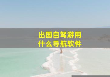 出国自驾游用什么导航软件