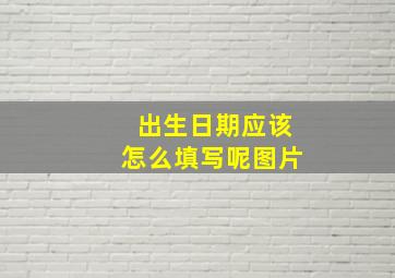 出生日期应该怎么填写呢图片