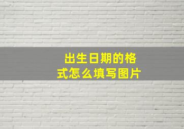 出生日期的格式怎么填写图片