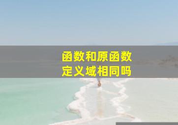 函数和原函数定义域相同吗