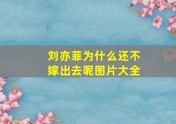 刘亦菲为什么还不嫁出去呢图片大全