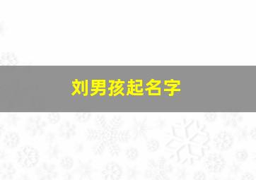 刘男孩起名字