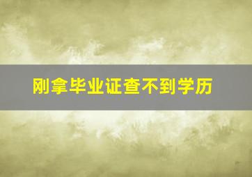 刚拿毕业证查不到学历