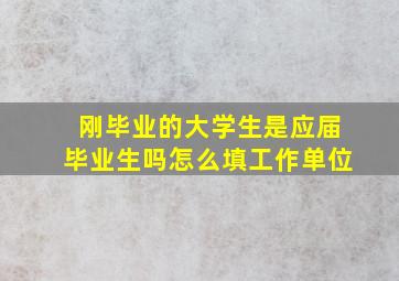 刚毕业的大学生是应届毕业生吗怎么填工作单位