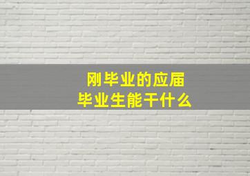 刚毕业的应届毕业生能干什么