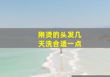 刚烫的头发几天洗合适一点