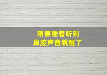 刚要睡着听到鼻腔声音就醒了