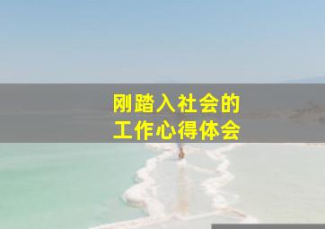 刚踏入社会的工作心得体会