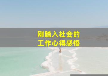 刚踏入社会的工作心得感悟