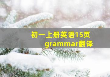 初一上册英语15页grammar翻译