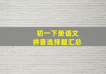 初一下册语文拼音选择题汇总