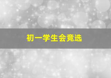 初一学生会竞选