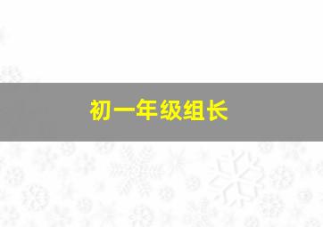 初一年级组长