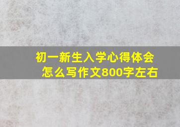 初一新生入学心得体会怎么写作文800字左右