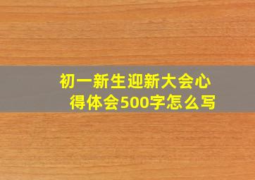 初一新生迎新大会心得体会500字怎么写