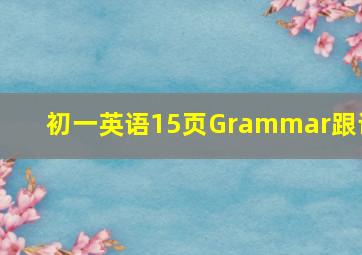 初一英语15页Grammar跟读