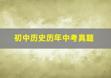 初中历史历年中考真题