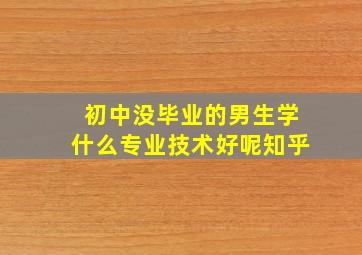 初中没毕业的男生学什么专业技术好呢知乎