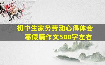 初中生家务劳动心得体会寒假篇作文500字左右