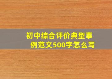 初中综合评价典型事例范文500字怎么写