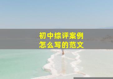 初中综评案例怎么写的范文