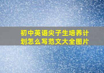 初中英语尖子生培养计划怎么写范文大全图片