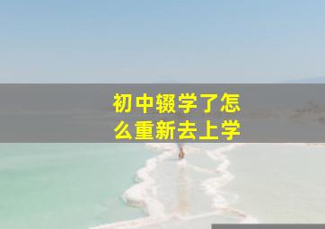 初中辍学了怎么重新去上学