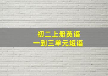 初二上册英语一到三单元短语