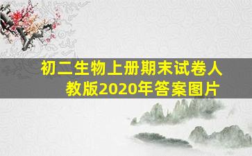 初二生物上册期末试卷人教版2020年答案图片