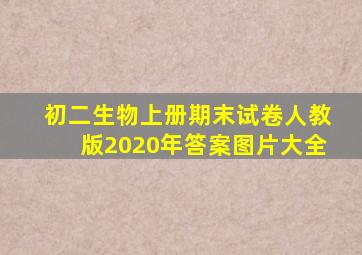 初二生物上册期末试卷人教版2020年答案图片大全