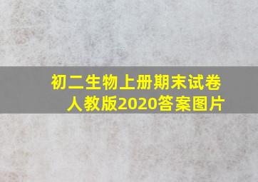 初二生物上册期末试卷人教版2020答案图片