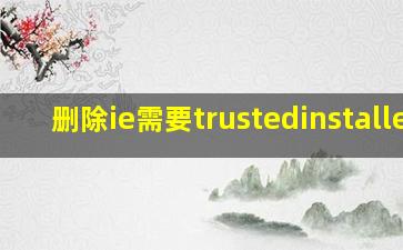 删除ie需要trustedinstaller