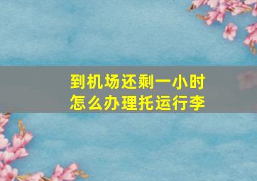 到机场还剩一小时怎么办理托运行李