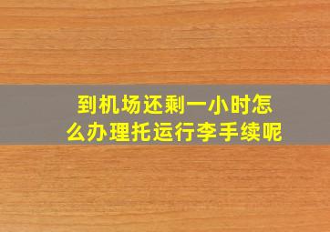 到机场还剩一小时怎么办理托运行李手续呢