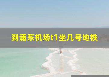 到浦东机场t1坐几号地铁